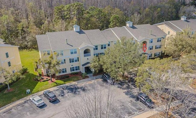 18173 Bridle Club Dr in Tampa, FL - Building Photo - Building Photo