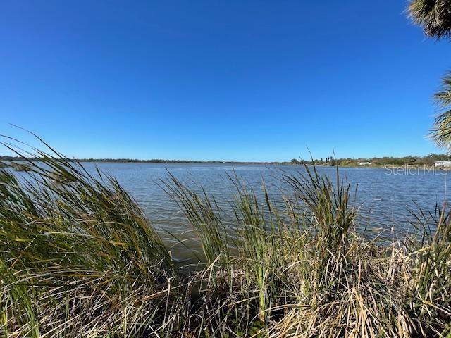 2950 Pallanza Dr S in St. Petersburg, FL - Building Photo - Building Photo