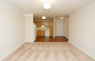 Gardens Of Stafford Senior Apartment Homes in Stafford, VA - Building Photo - Interior Photo