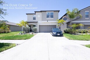 774 Olive Conch St in Ruskin, FL - Building Photo