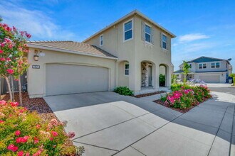 567 Datura Dr in Vacaville, CA - Building Photo - Building Photo