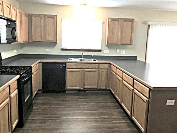 16316 Spring Creek Ln in Plainfield, IL - Building Photo - Building Photo