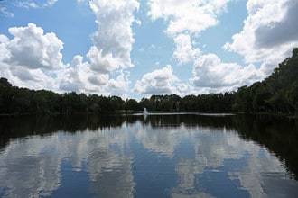 Grande Oasis at Carrollwood in Tampa, FL - Foto de edificio - Building Photo