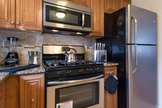 37 Oxford Cir, Unit 1 in Belmont, MA - Building Photo - Building Photo