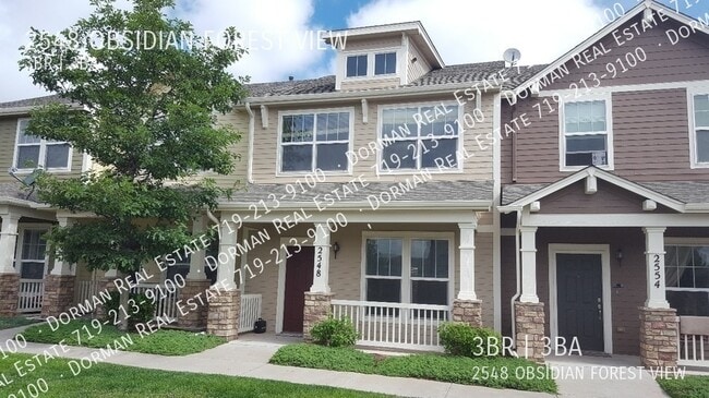 property at 2548 Obsidian Forest Vw