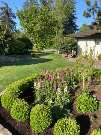 6007 74th St NE in Marysville, WA - Building Photo