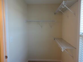 2825 Tulip Poplar Cir in Durham, NC - Building Photo - Building Photo