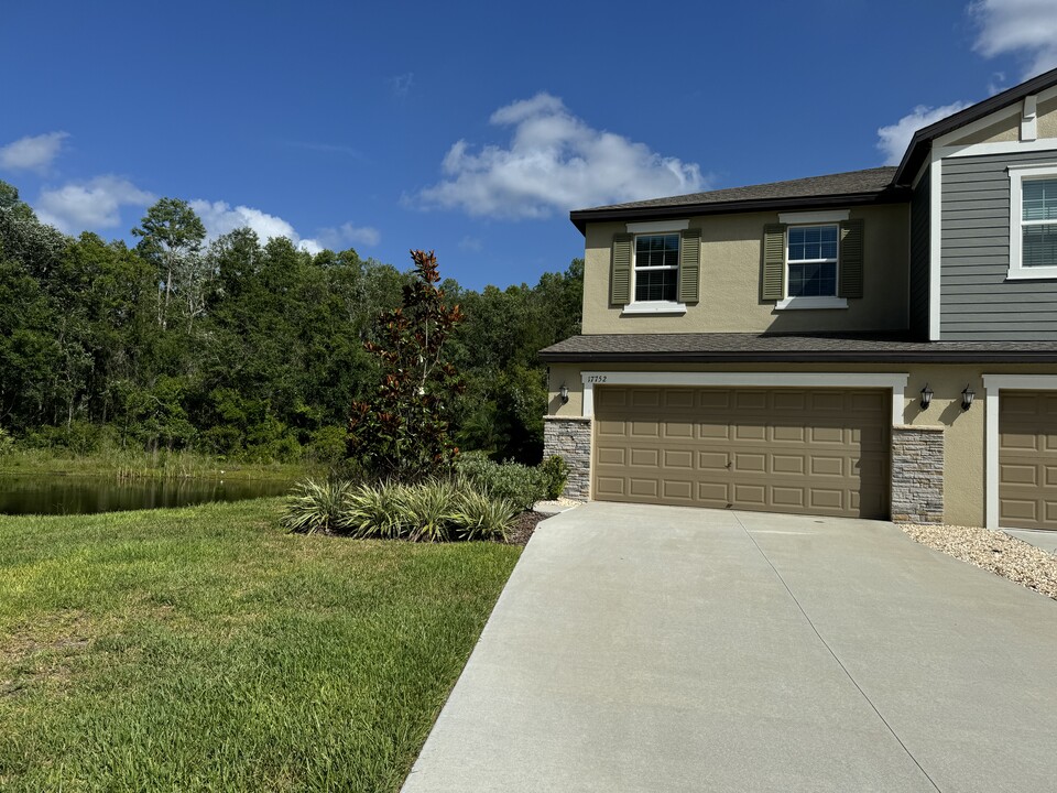 17752 Nectar Flume Dr in Land O Lakes, FL - Building Photo