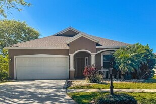 11925 Summer Springs Dr in Riverview, FL - Building Photo