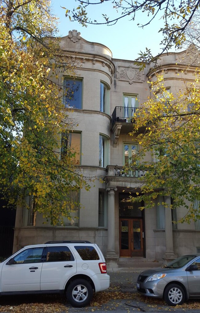 325 W Wisconsin St, Unit 2W in Chicago, IL - Building Photo - Building Photo