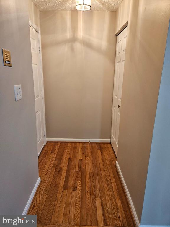 2443 Blue Spring Ct in Odenton, MD - Building Photo - Building Photo