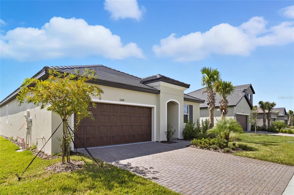 31898 Griffin Sands Ln in San Antonio, FL - Building Photo
