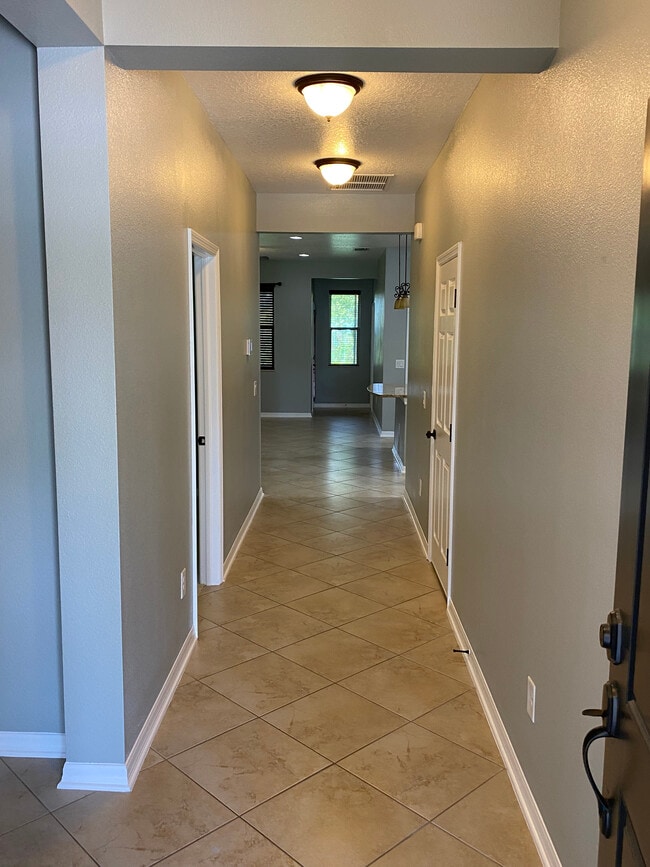 4439 Ashton Meadows Way in Wesley Chapel, FL - Building Photo - Building Photo