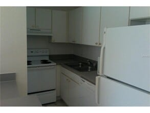 10422 White Lake Ct in Tampa, FL - Foto de edificio - Building Photo