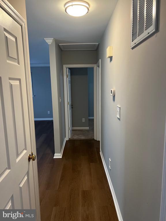 11211 Surry Woods Ct