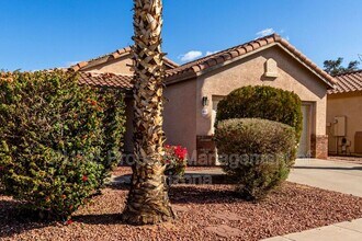 6640 W Megan St in Chandler, AZ - Building Photo - Building Photo