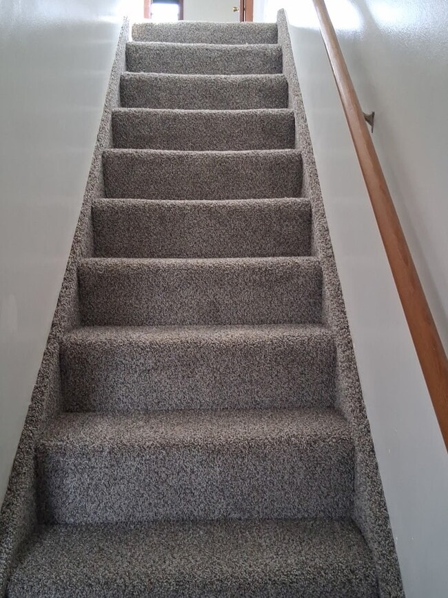 property at 502 Archer St