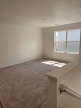 517 Silver Rock Trl in Castle Rock, CO - Building Photo - Building Photo