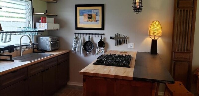 24 Pukihae St in Hilo, HI - Building Photo - Building Photo