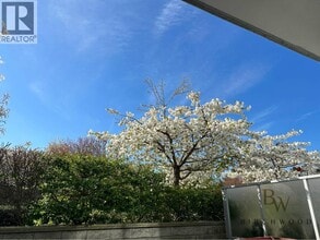 8288 Granville Ave in Richmond, BC - Building Photo - Building Photo