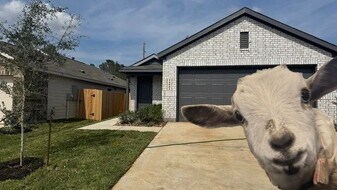 14881 N Ascot Bnd Cir in Conroe, TX - Building Photo