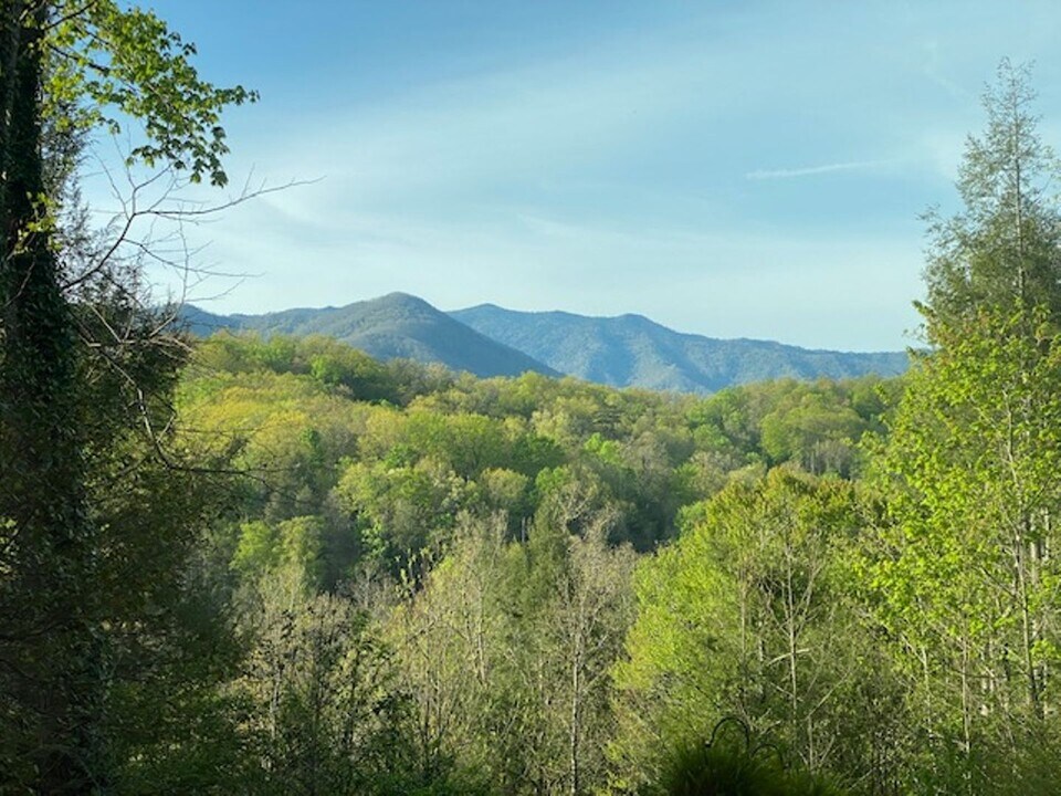 221 Woodland Rd in Gatlinburg, TN - Building Photo