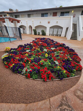 Desert Oasis in El Centro, CA - Foto de edificio - Building Photo