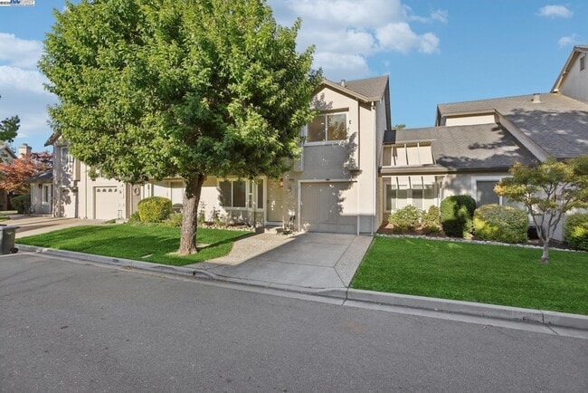 2039 Alexander Ct