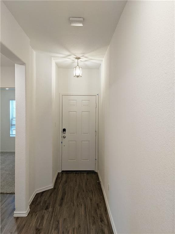 3493 Pauling Loop in Round Rock, TX - Building Photo - Building Photo