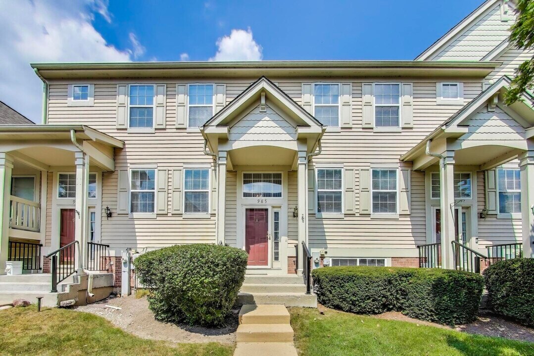 985 Manchester Cir in Grayslake, IL - Building Photo