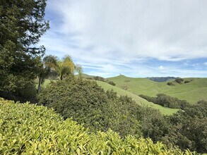 4466 Deer Ridge Rd in Danville, CA - Building Photo - Building Photo