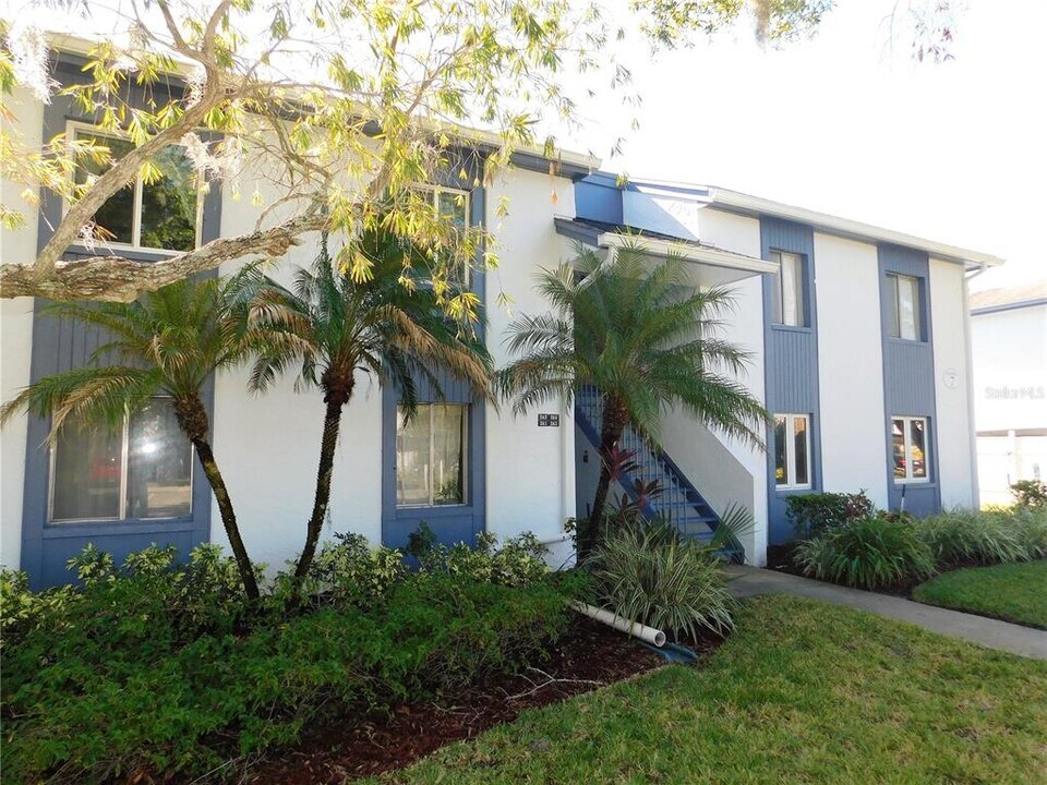 244 Cypress Ln in Oldsmar, FL - Building Photo