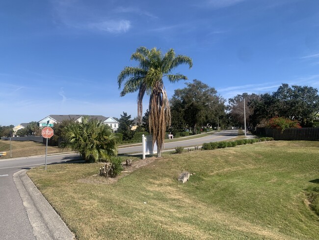 226 Somerset Cir N in Dunedin, FL - Foto de edificio - Building Photo