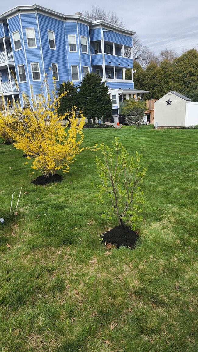 260 Walton St, Unit 2 in Fitchburg, MA - Building Photo - Building Photo