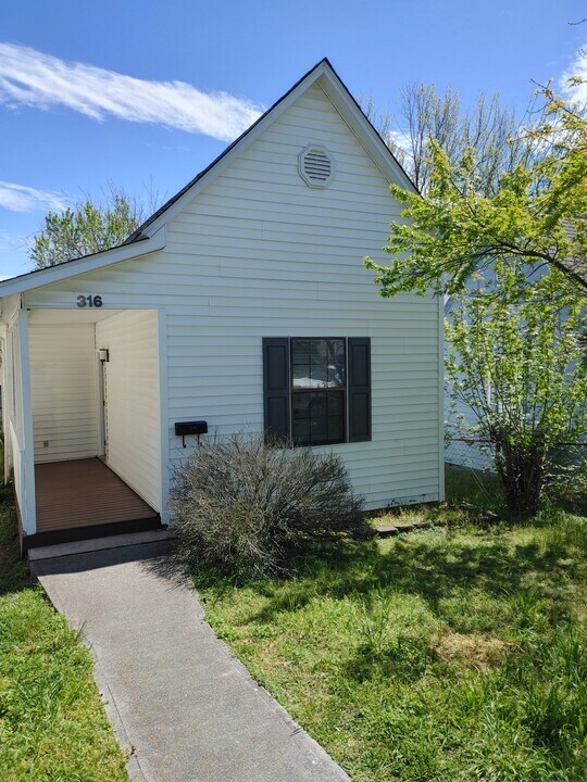 316 E Emerald Ave in Knoxville, TN - Building Photo