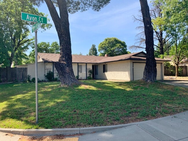 805 Avon Ct in Dixon, CA - Building Photo - Building Photo