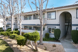 Prospect Corners in San Jose, CA - Building Photo - Building Photo