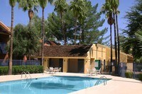 Pool - River Oaks Apartamentos in Tucson, Arizona