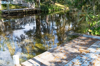 3101 N Canal Dr, Unit 3101 in Palm Harbor, FL - Building Photo - Building Photo