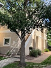 3750 Strawberry Field Grv in Colorado Springs, CO - Building Photo - Building Photo