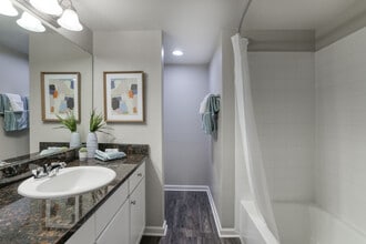 Country Brook in Chandler, AZ - Foto de edificio - Building Photo