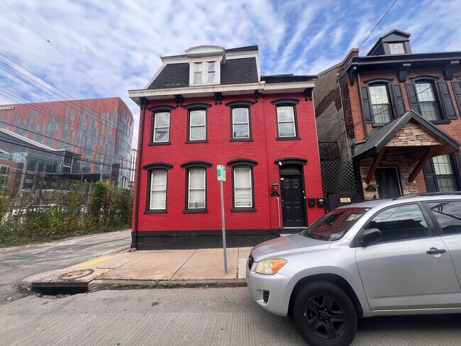 42 Van Braam St in Pittsburgh, PA - Building Photo - Building Photo