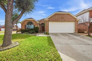 1020 Hay Stack Ct in Little Elm, TX - Building Photo