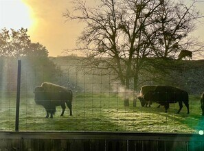 11305 Sentinel Dr in Austin, TX - Building Photo - Building Photo