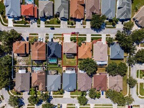 10648 Weeping Elm Bend in Land O Lakes, FL - Building Photo - Building Photo
