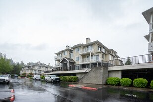 The Saxony Apartments in Sammamish, WA - Building Photo