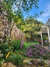 4118 Cobblestone Dr in Concord, CA - Building Photo - Building Photo