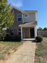 256 Old Woolen Mill Ln in Lexington, KY - Building Photo