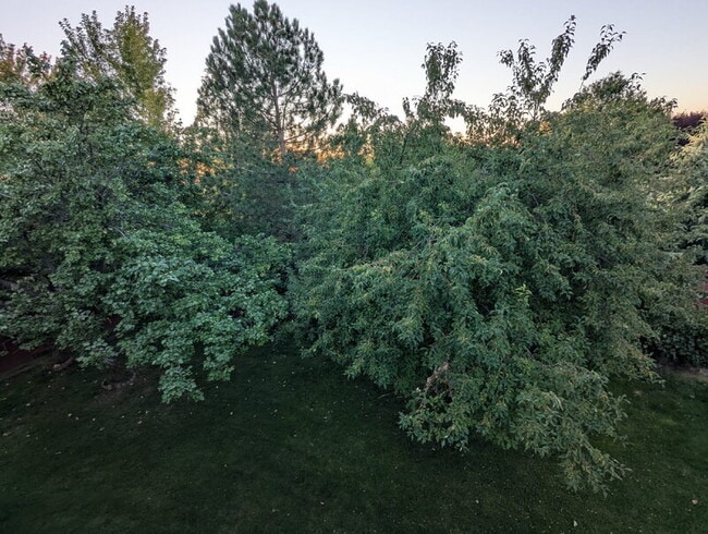 6193 S Kelton Pl in Boise, ID - Building Photo - Building Photo