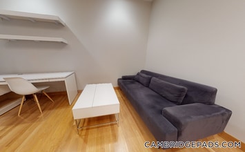 115 Mt Auburn St in Cambridge, MA - Building Photo - Building Photo